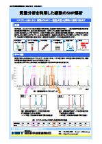 質量分析を利用した複数のSNP解析