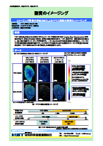 脂質のイメージング