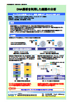 DNA解析を利用した細菌の分析