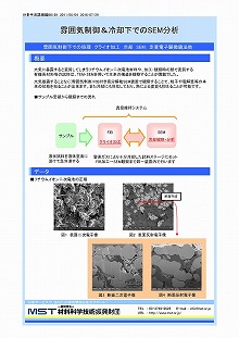 雰囲気制御&amp;冷却下でのSEM分析