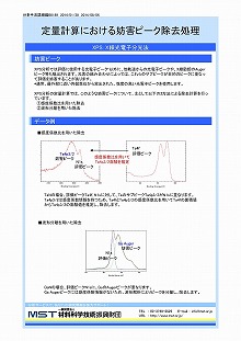 定量計算における妨害ピーク除去処理