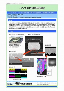 バンプの広域断面観察