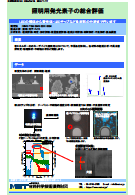 照明用発光素子の総合評価