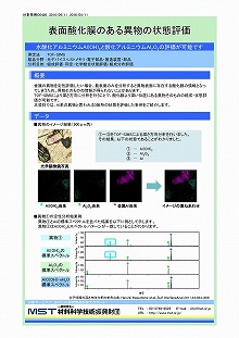 表面酸化膜のある異物の状態評価