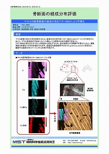 骨断面の組成分布評価