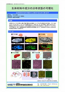 生体材料中成分の分布状態の可視化