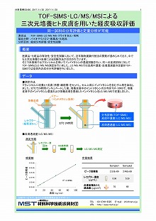 三次元培養ヒト皮膚を用いた経皮吸収評価