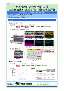 三次元培養ヒト皮膚を用いた経皮吸収評価