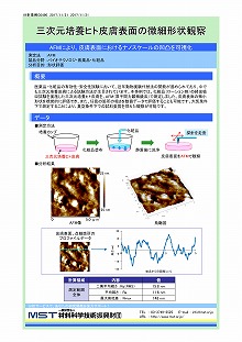 三次元培養ヒト皮膚表面の微細形状観察