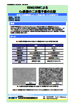 SEMとSIMによるCu表面の二次電子像の比較