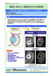 眼球に投与した薬剤成分の分布評価