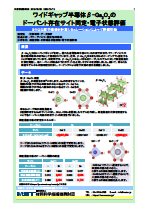 ワイドギャップ半導体β-Ga2O3の ドーパント存在サイト同定・電子状態評価