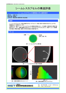 シームレスカプセルの構造評価