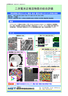 二次電池正極活物質の総合評価