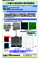 二次電池正極活物質の局所領域評価