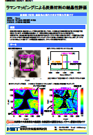 ラマンマッピングによる炭素材料の結晶性評価