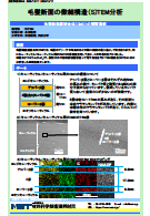 毛髪断面の微細構造（S)TEM分析