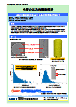 毛髪の三次元構造解析