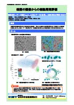 細菌の画像からの細胞周期評価