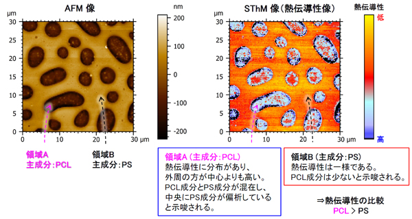 SThMによる局所熱伝導性評価