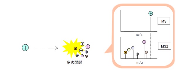 液体クロマトグラフ-フーリエ変換質量分析法