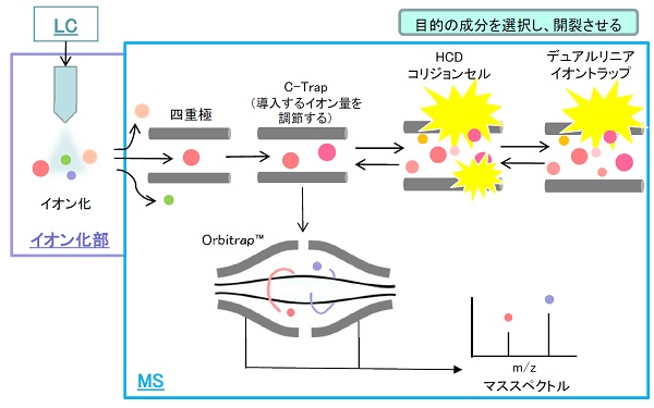 液体クロマトグラフ-フーリエ変換質量分析法