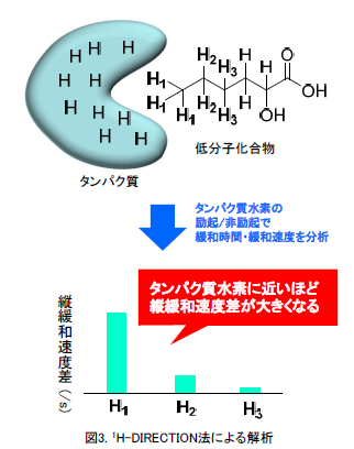 1H-DIRECTION法による解析