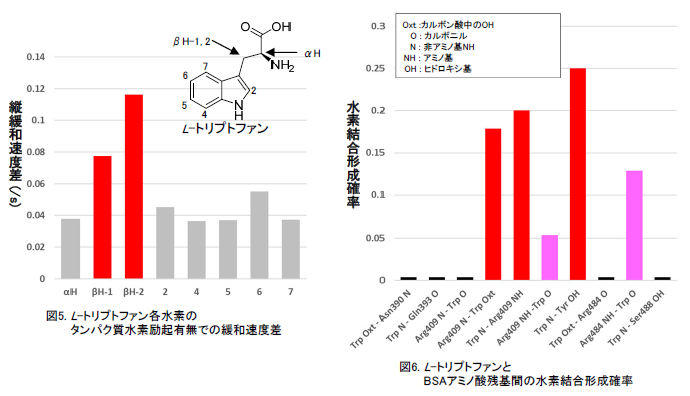 L-トリプトファンとBSAの分子間相互作用