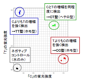 「C」と「T」のプロット図