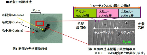 信頼性試験の一覧