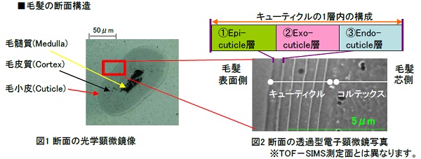 信頼性試験の一覧