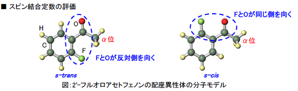 2′-フルオロアセトフェノンの配座異性体の分子モデル