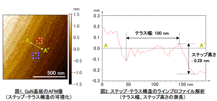 GaN基板のAFM像（ステップ-テラス構造の可視化）、ステップ-テラス構造のラインプロファイル解析（テラス幅、ステップ高さの測長）