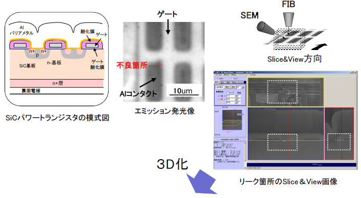 Slice＆View SEM Image
