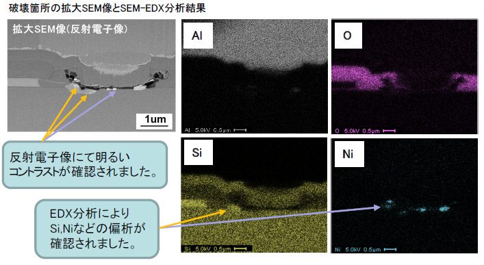 SEM-EDX of the fracture location