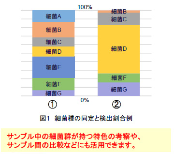 細菌種の同定と検出割合例