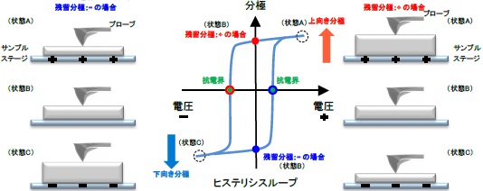 圧電応答顕微鏡法の原理