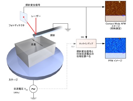 圧電応答顕微鏡