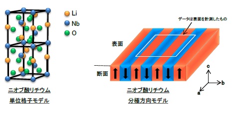 ニオブ酸リチウムモデル