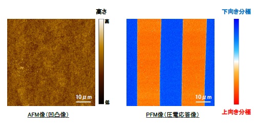 AFM像とPFM像