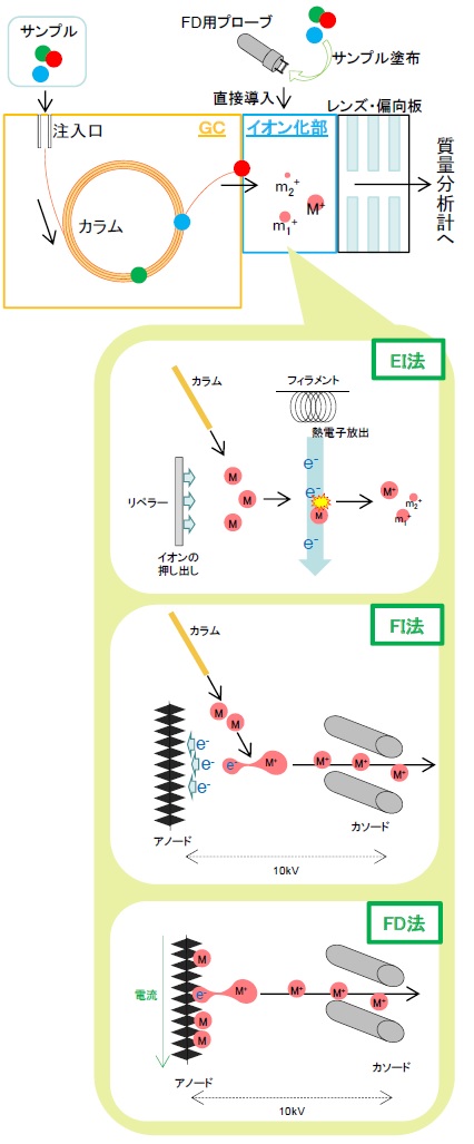 サンプル画像