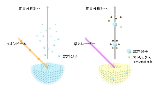 固体試料表面の質量分析法の使い分け