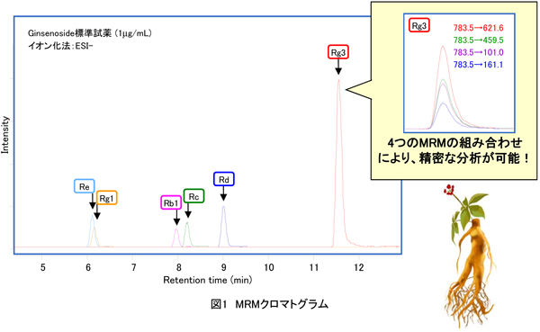 MST｜高麗人参 生薬成分のLC/MS/MS分析(C0304)