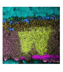 イオンイメージ像の重ね合わせ像