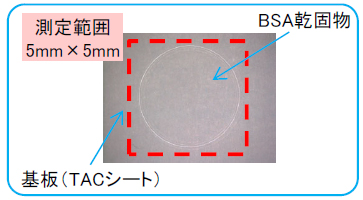 BSA乾固物