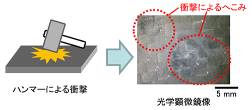Mst 炭素繊維強化プラスチック Cfrp 内部の超音波顕微鏡観察 C0526