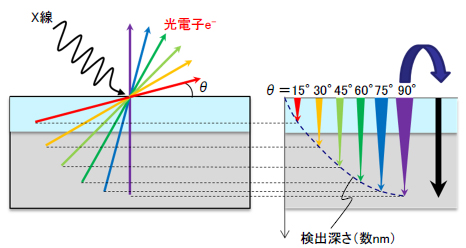 模式図
