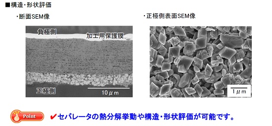 二次電池セパレータの構造評価