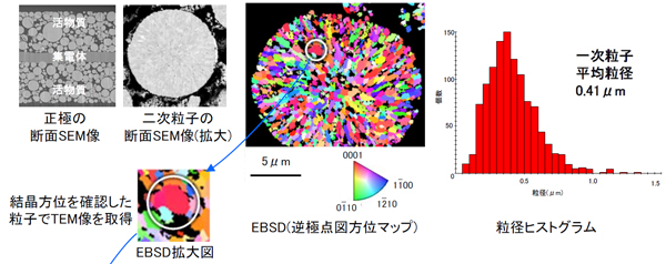 二次電池正極活物質の構造評価