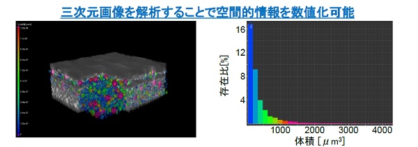 リチウムイオン二次電池正極材の
立体構造観察・解析